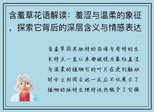 含羞草花语解读：羞涩与温柔的象征，探索它背后的深层含义与情感表达